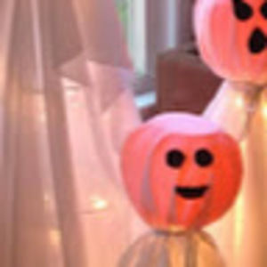 Meet your Posher, Evelyn